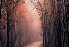 雷火电竞主播-封锁与奔涌，当马赛的铁壁遇见国家德比的怒涛—两个无关的瞬间，同一个足球的本质