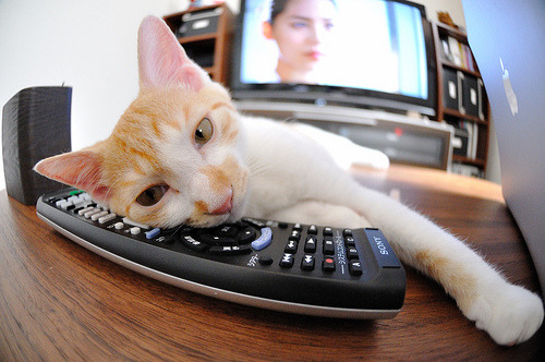 弗拉霍维奇神奇绝杀！利物浦压哨力克塞内加尔，关键先生改写比赛命运