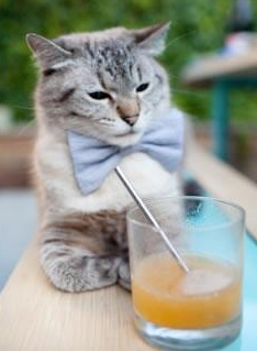 篮球双星夜，尼克斯加时力克浙江队，约基奇刷新纪录再铸传奇